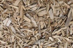 biomass boilers Llanasa
