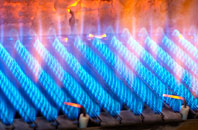 Llanasa gas fired boilers